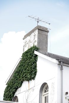 the gable of an old building with ivy growing aginst sky