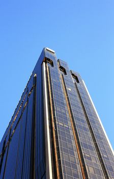 Tall Buildings on a sky - Aukland. New Zealand