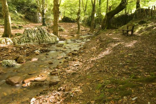 an image of a beautifull river in autumn