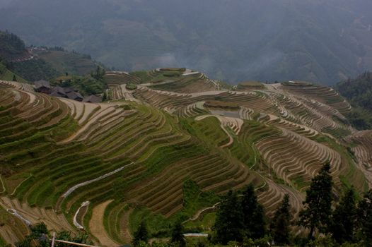 Longji Rice Terraces in Guangxi China