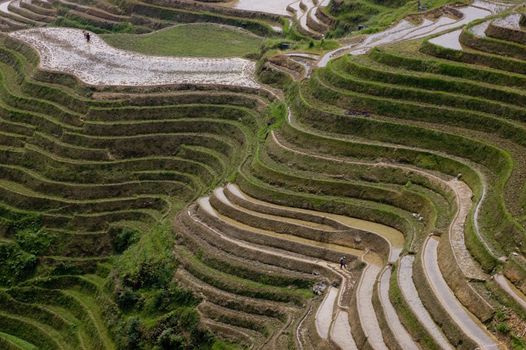 Longji Rice Terraces in Guangxi China