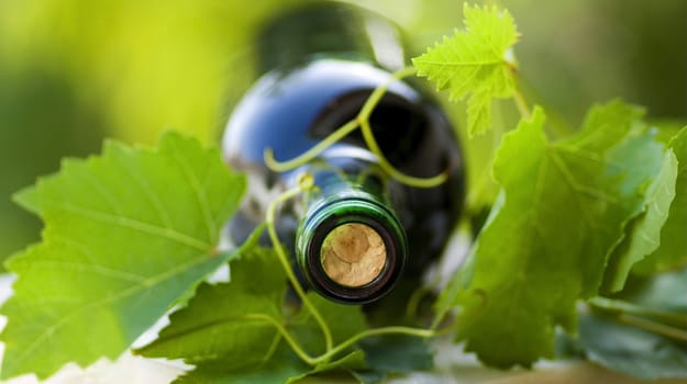 Bottle of red wine and green leaves.