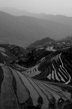 Black and White Longji Rice Terraces in Guangxi China