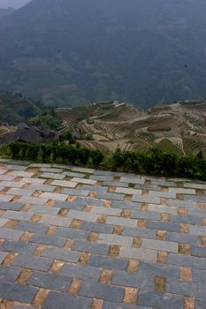 Longji Rice Terraces in Guangxi China


