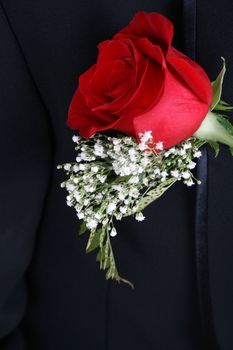 Red rose corsage against a dark suit