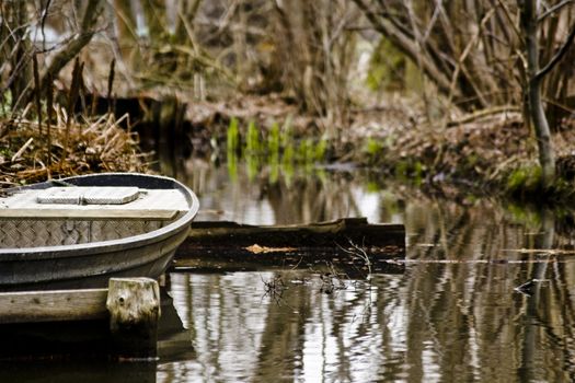 rowboat in a forrest