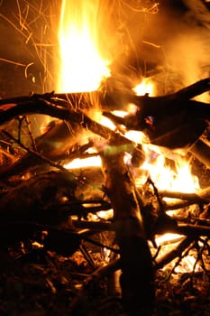 campfire in a forrest at night