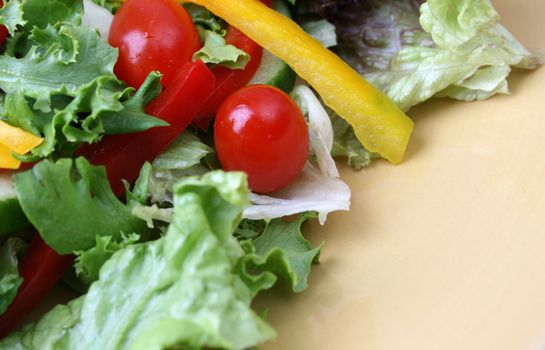 Fresh colorful salad with cherrie tamatoes and cucumber