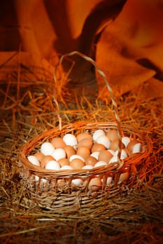 Easter eggs in a basket