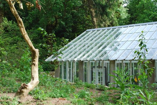 photo of a beautiful greenhouse on a jungle scenery