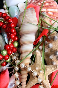 Variety of seashells and jewelery between petals