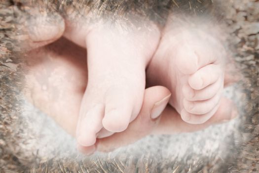 Feet of a baby in his mothers hand