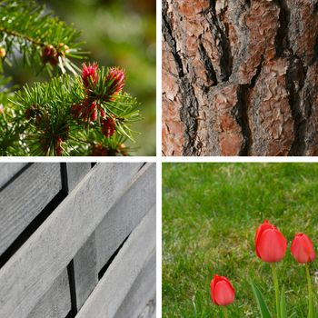 Variety of spring garden backgrounds and textures