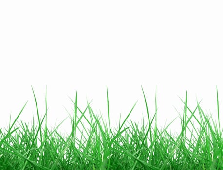 Green meadow grass over white background with copy space