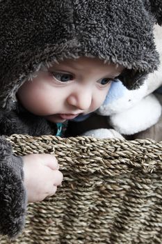 Four month old baby boy wearing a fully bear suit 