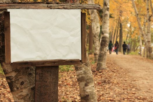Textured paper in Blank Wooden Frame - autumn in Nami Island Korea