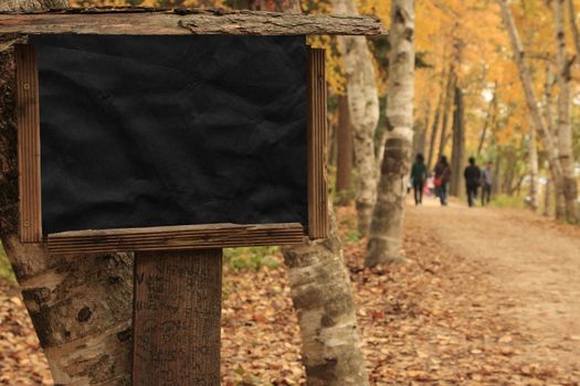 Black poster Wooden Frame during autumn in Nami Island Korea