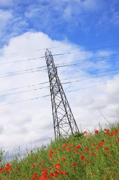 An angled portrait format image of a red poppie field with a steel constructed electric pylon in the middle of the field.