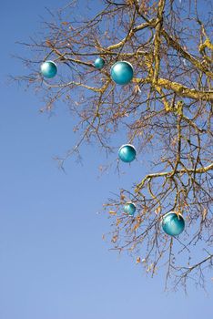 blue lamps on winter tree and sky background