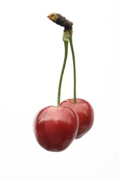 isolated from cherries
