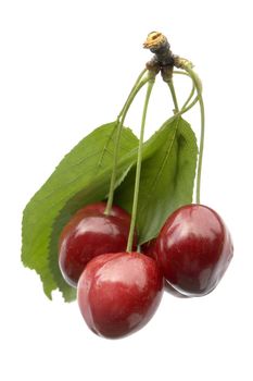 isolated from cherries
