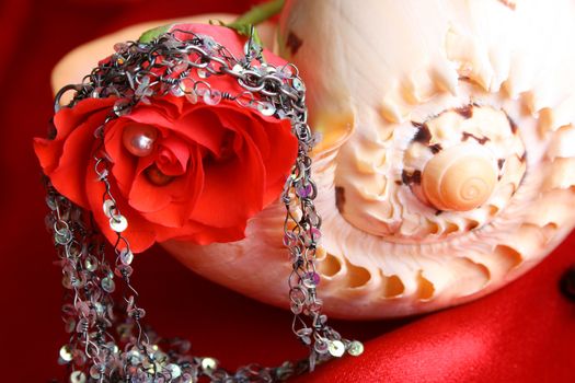 Red rose with fine jewelery on a seashell