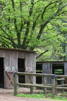 Wooden stables under a large green tree