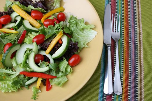 Fresh colorful salad with cherrie tamatoes and cucumber