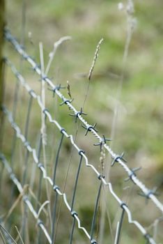 Barbed wire fencing shot diagonally with long grasses growing through, showing movement in the breeze.  Grassland in soft focus in the background. Vertical composition.