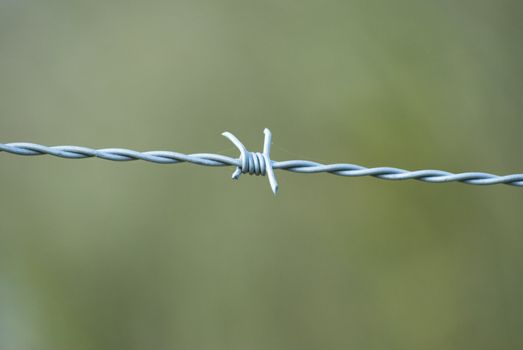 Closeup of a single strand of barbed wire fencing, with green grass behind in soft focus.