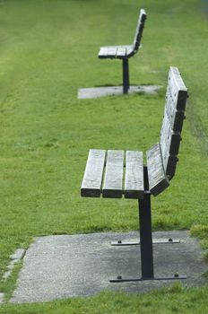 Two empty park benches facing left of vertical frame, bolted into concrete supports, surrounded by green grass.  Shallow depth of field.