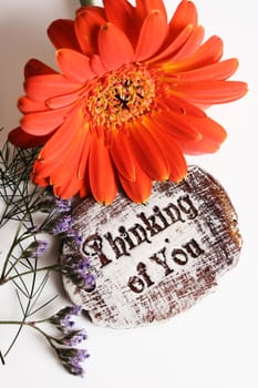 The words Thinking Of You engraved on a small wooden plaque