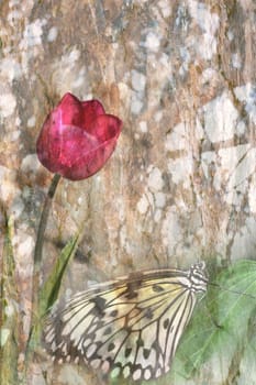 Bright pink tulip and butterfly against textured tree background