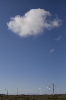 Wind turbines on Smøla, Norway. With a total of 68 wind turbines, the Smøla Wind Farm is Europe’s largest land-based wind generating facility, producing an annual 450 GWh of electricity.The wind turbines are 70 m high. The rotors are 83 m in diameter, and each turbine weighs just over 260 tonnes.