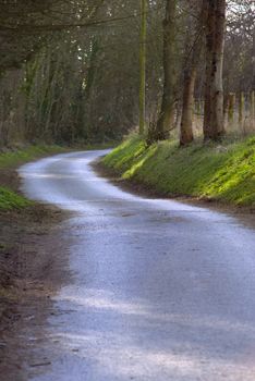 Dappled sunlight shines through the tree canopy on a country road, as it curves away into the distance.