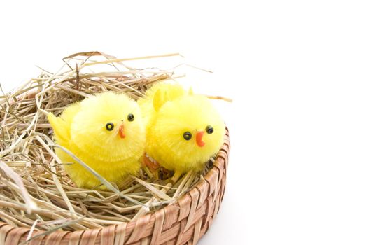 Two Easter chick toys, appearing to chirp, standing on a bed of straw in a basket.  White backgrond.  Lower-left position.  Copy space.