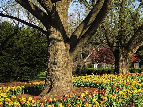 A photograph of a peaceful flower garden.