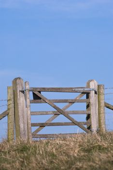 A wooden gate attached to a barbed wire fence, with bright blue sky beyond, on top of a grassy hill.  