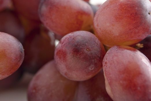 Close-up (macro) of a bunch of red grapes with shadows beneath and a glimpse of white in the background.