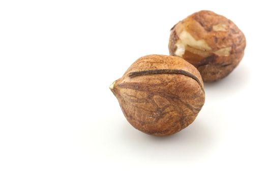 Close-up of two hazelnuts, isolated on white background with visible shadows and copy space.  