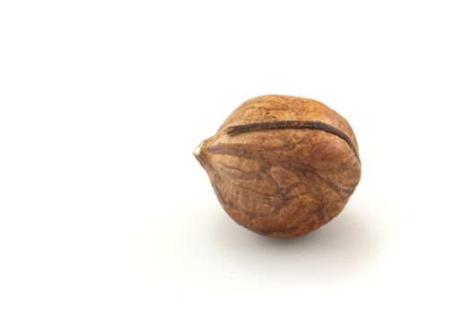 Close-up of a solitary shelled hazelnut, shadow visible, isolated on a white background, with copy space.