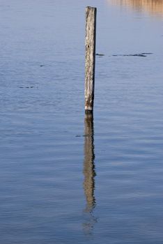 A solitary wooden post, standing upright in a lake, reflected in the water.
