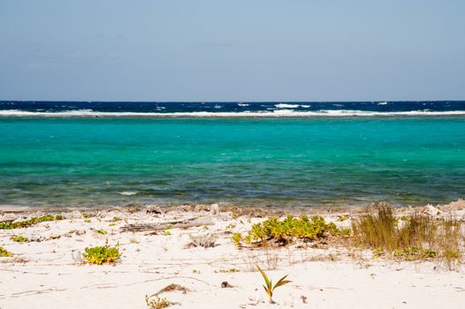 Rum Point Beach, Grand Cayman