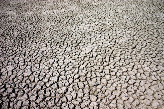 dried cracked mud caused by drought in Africa