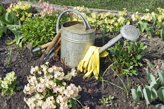 Garden tools among spring flowers close up