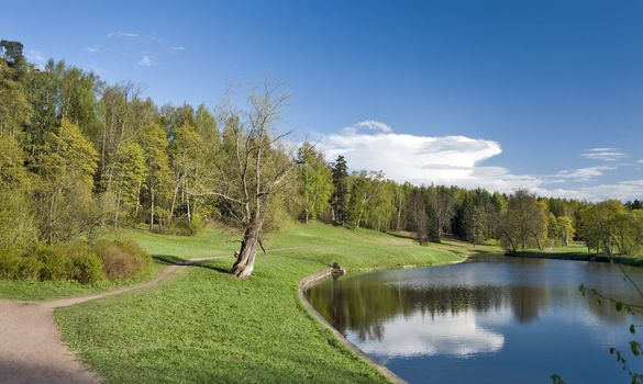 Picturesque view of spring park with river