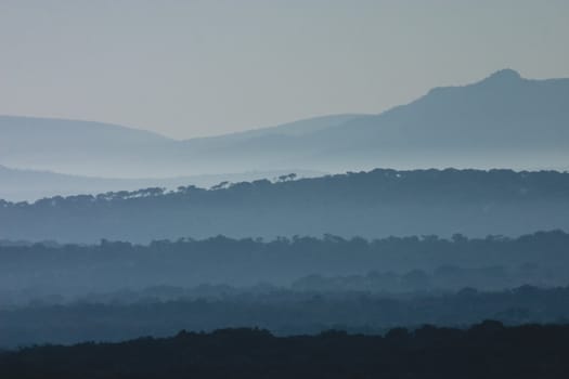 Early morning day break at the Huluhluwe-Umfolozi Game Reserve, South Africa, showing misty hills and silhoutes of trees