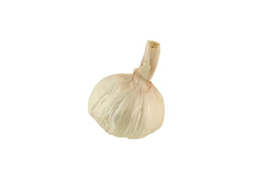 a single garlic bulb isolated