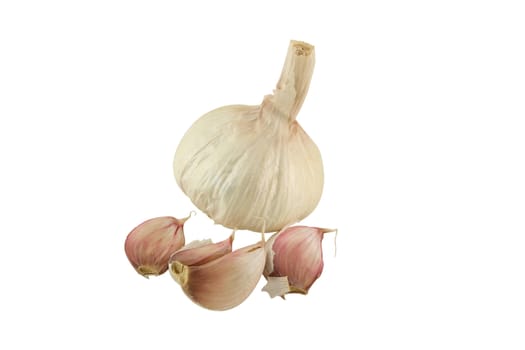 a single garlic bulb and four garlic cloves isolated