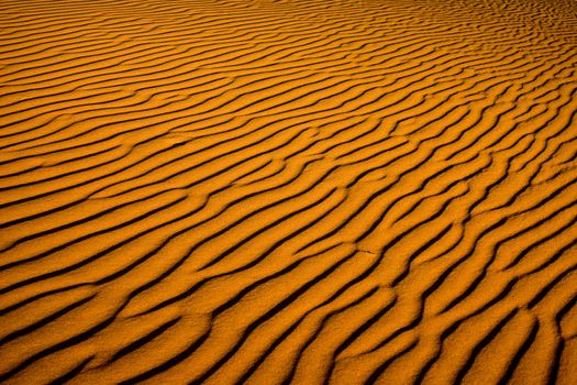 Ripples of sand in Sossusvlei, Namib Desert, Namibia